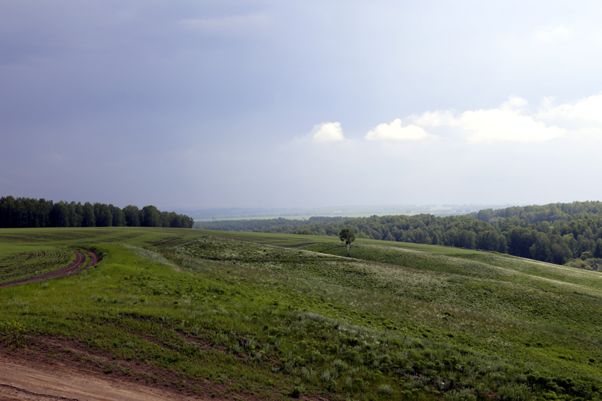 Черепановская равнина