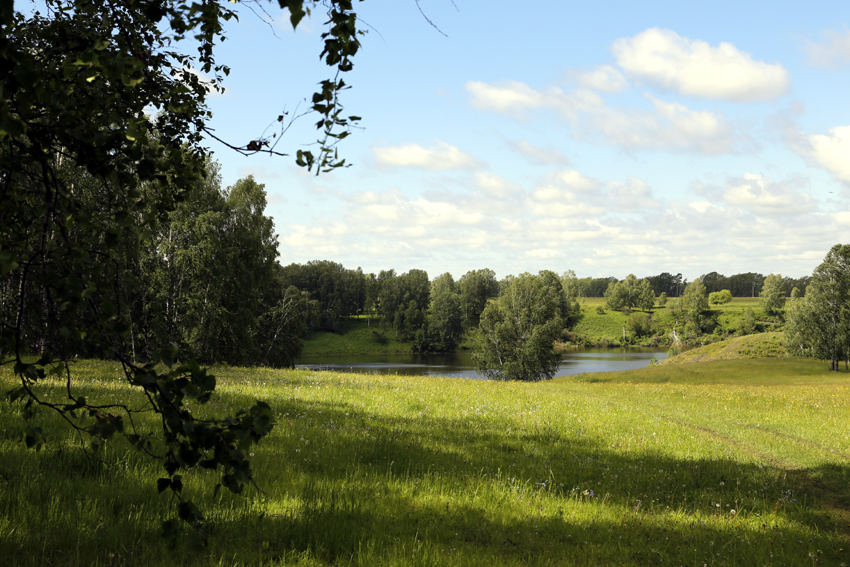 Присалаирская равнина