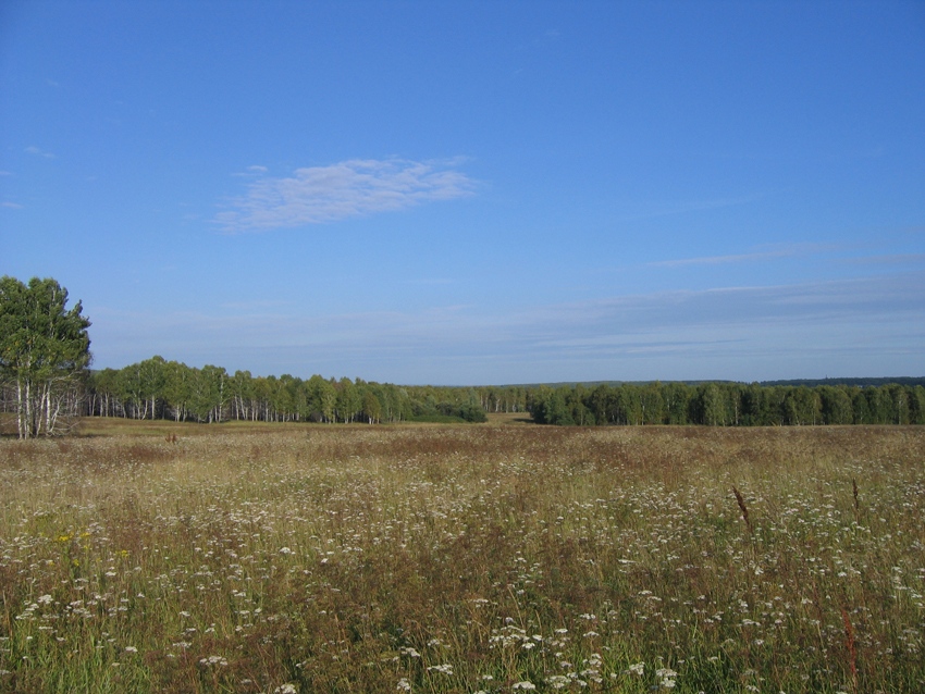 Сокурская равнина